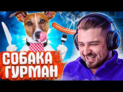 Видео: HARD PLAY СМОТРИТ ЛУЧШИЕ ПРИКОЛЫ / РЕАКЦИЯ ХАРД ПЛЕЙ СМЕШНЫЕ ВИДЕО, ТЕСТ НА ПСИХИКУ, ЮМОР, COUB