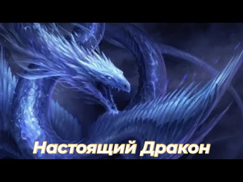 Видео: Настоящий Дракон/Альтернативный сюжет DXD
