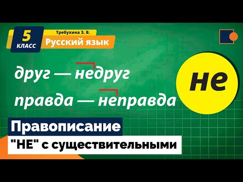 Видео: Русский язык. "НЕ" с существительными.