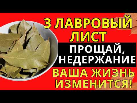 Видео: 3 листа лавра успокоят мочевой пузырь и уберут недержание всего за 60 секунд!