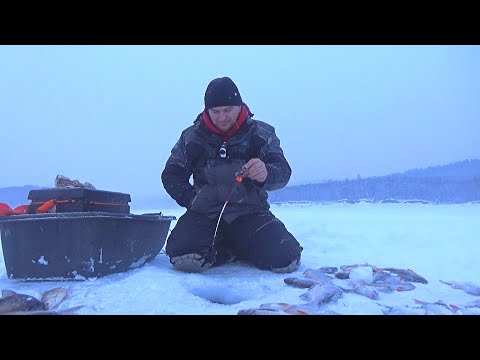 Видео: ЛУЧШАЯ РЫБАЛКА В ГЛУХОЗИМЬЕ!!! ЛОВЛЮ ТАМ, ГДЕ НИКОГО НЕТ!!!