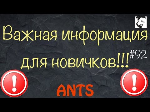 Видео: Основы для начинающего мирмикипера // муравьи // с чего начать? // #92