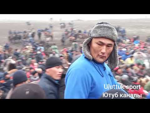Видео: #улуттукспорт#кокбору#улак Базар-Коргон Бай улак жипке салды улак токтоп соорундар таратылды