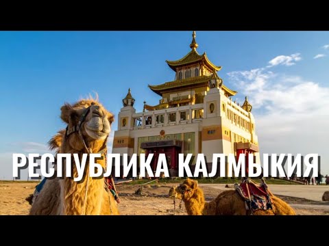 Видео: РЕСПУБЛИКА КАЛМЫКИЯ 2025!Потеряли 2  Дрона!!!🐪, едим калмыцкую кухню, Розовое озеро, Маныч-Гудило