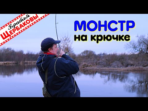 Видео: Дроп-шот и джиг в половодье. МОНСТР на крючке. Нежнейший ШАШЛЫК из ГОВЯДИНЫ на берегу реки