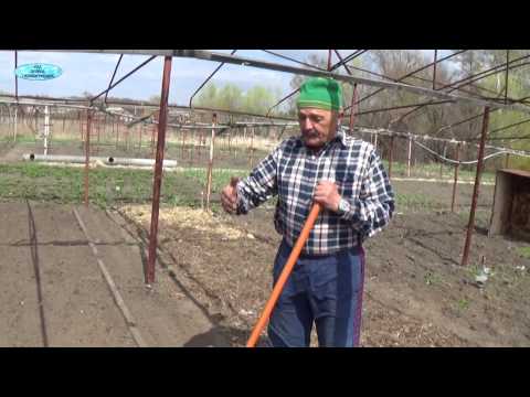 Видео: ПОСЕВ МОРКОВИ СОВМЕСТНО С МАЯЧНОЙ КУЛЬТУРОЙ.