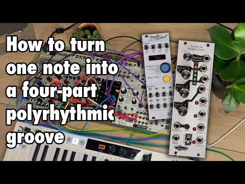 Видео: Запуск с помощью Zularic Repetitor и транспонирование с помощью новой тренировки Памелы | Модульн...