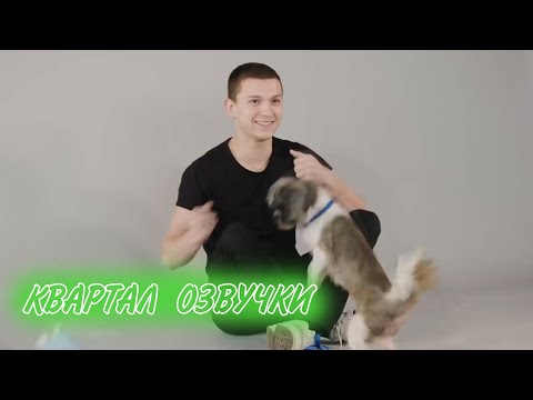 Видео: Том Холланд в приюте для собак [РУССКАЯ ОЗВУЧКА]