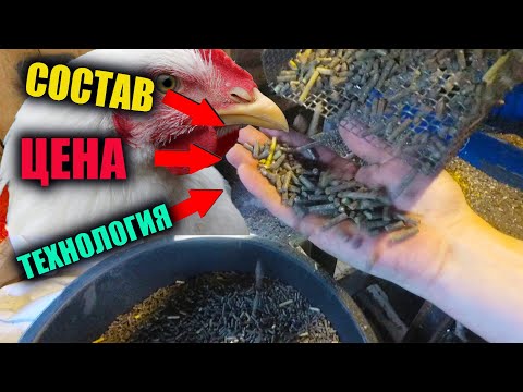 Видео: Самодельный Гранулированный КОМБИКОРМ для кур НЕСУШЕК