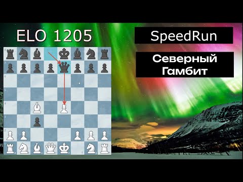 Видео: Скоростной забег| Северный Гамбит за белых| Лучший атакующий дебют|