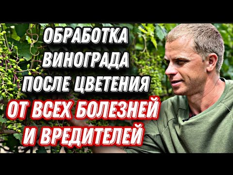 Видео: Опрыскивание Виноградника после цветения, против комплекса вредителей и болезней.