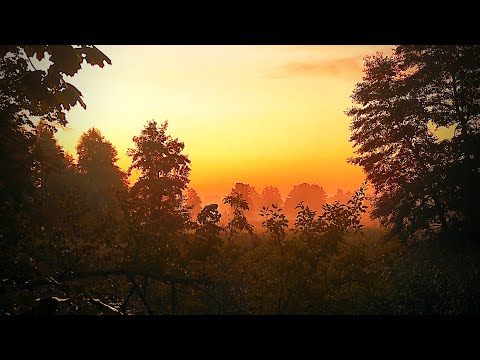 Видео: Воронежская "кругосветка". Сплав на сапбордах. Попали в грозу.