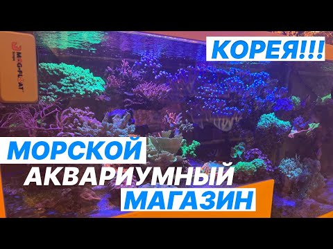 Видео: МОРСКОЙ АКВАРИУМНЫЙ МАГАЗИН В КОРЕЕ!!! ГОРОД АНСАН!