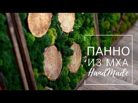 Видео: Картина из мха | Эко декор