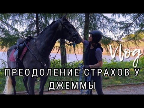 Видео: Преодоление страхов у Джеммы