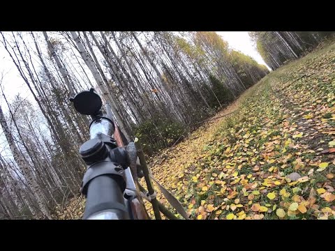 Видео: Ушёл в тайгу на целый день, охотится на рябчика. 1 серия