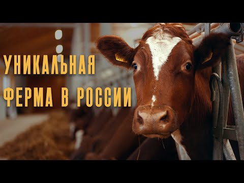 Видео: Мы открыли двери фермы: полный обзор Гастродачи Вселуг