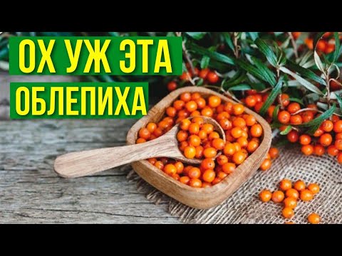 Видео: ОБЛЕПИХА. ТАКОГО ВЫ ЕЩЁ О НЕЙ НЕ ЗНАЛИ! ВСЯ ПОЛЬЗА И ВРЕД В ОДНОМ ВИДЕО