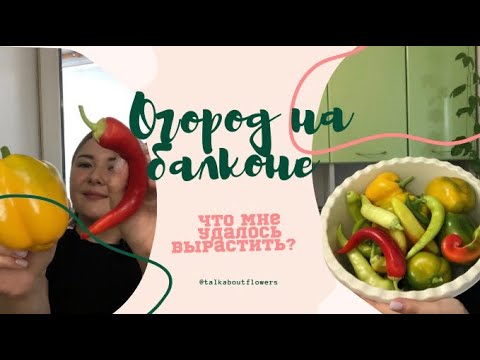 Видео: Сбор урожая| Результаты огорода на балконе| Переезд с балкона в квартиру