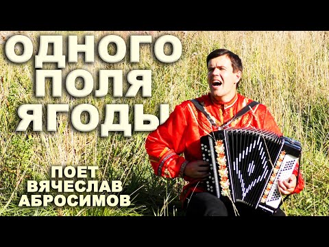 Видео: ❤️ШИКАРНАЯ ПЕСНЯ! Хочется слушать и слушать! 🍓Одного поля ягоды