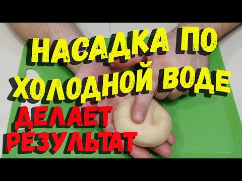 Видео: Насадка для рыбалки по холодной воде дает хороший результат