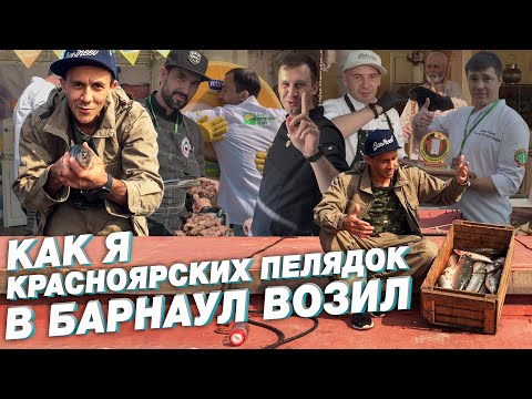 Видео: Как я красноярских пелядок в Барнаул возил