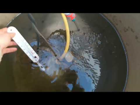 Видео: 5 РУБЛЕЙ ЗА 100 ЛИТРОВ ТЕПЛОЙ ВОДЫ для полива рассады в ТЕПЛИЦЕ! САМОЕ ПРОСТОЕ устройство!