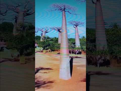 Видео: Курточка в работе...