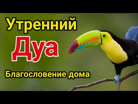 Видео: утренний дуа. Благословение дома