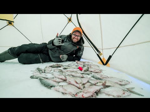 Видео: МЕГА КЛЁВ Подлещика со Льда / БЕЗМОТЫЛКА против МОРМЫШКИ / Патерностер. Серия #29.