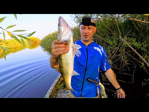 Видео: Кастинговая сеть американка против Русской хапуги! Рыбалка на хапугу или на накрывашку что круче?