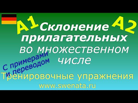 Видео: A1/A2 Склонение прилагательных во множественном числе в упражнениях