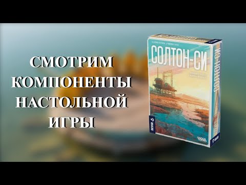 Видео: Настольная игра СОЛТОН-СИ | ОБЗОР КОМПОНЕНТОВ