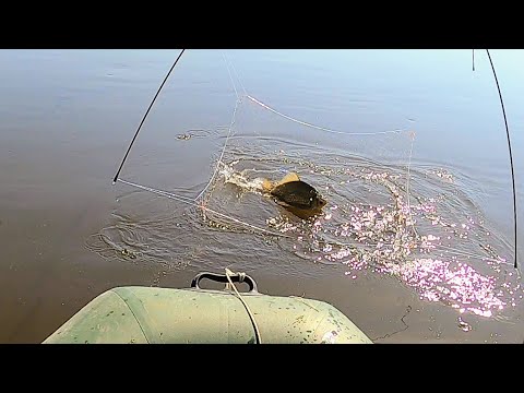 Видео: ВЕСНА ПРИШЛА-РЫБА ЗАШЕВЕЛИЛАСЬ! КАРАСИ-МУТАНТЫ НА ПАУК-ПОДЪЁМНИК! Рыбалка на паук
