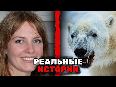 Видео: 5 Самых ЖЕСТОКИХ Историй о Нападениях Белых Медведей за Год