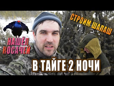 Видео: Поход в лес. Снежная тайга в мае. Тетеревиный ток.