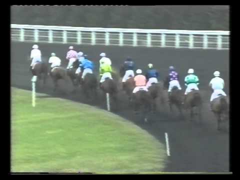 Видео: Париж. Венсен. 2003 г. Идало. Рысь под седлом.