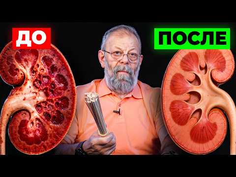 Видео: Мочевой пузырь — объясню, почему теряет функцию, и покажу, как быстро восстановить.