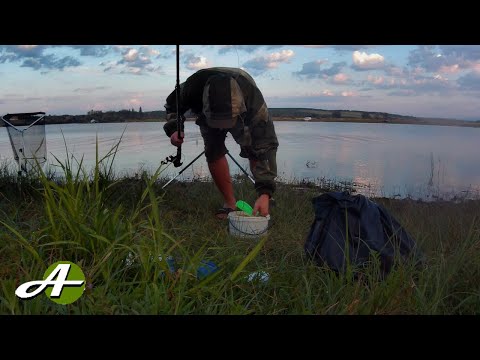 Видео: рибалка на о.Горбок (с.Дунковиця) 2020. ТРОФЕЙНИЙ БІЛИЙ АМУР