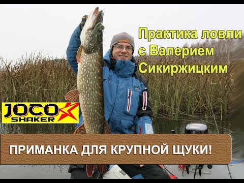 Видео: Отличная приманка для крупной щуки! Практика ловли с Валерием Сикиржицким.