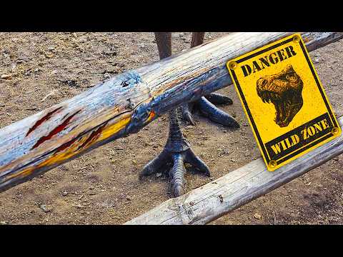 Видео: Почему львы боятся страусов? Страусиная ферма. Как живут африканские страусы на Урале!