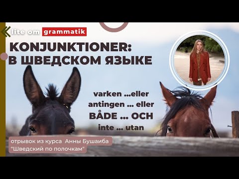 Видео: Шведский язык. Как не путать: antingen ...eller / varken ... eller/ inte ... utan / både ...och