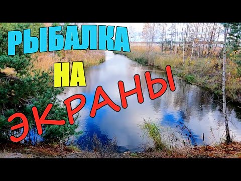 Видео: РЫБАЛКА НА ЭКРАНЫ. Нашёл рыбу с подводной камерой.