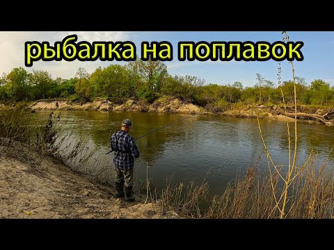 Видео: Рыбалка на поплавок в конце апреля на реке
