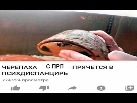 Видео: Отношения с ПРЛ - Бежать или не бежать?
