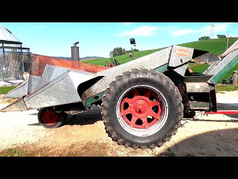 Видео: Первый день сбора кукурузы! Урожай 2025 года