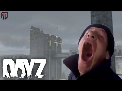 Видео: Они думали мы поможем отбить рейд DayZ