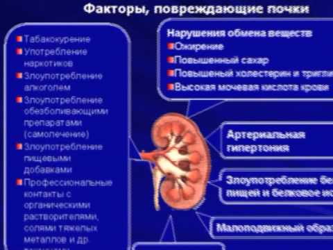 Видео: "Хроническая болезнь почек: можно ли остановить прогрессирование?"