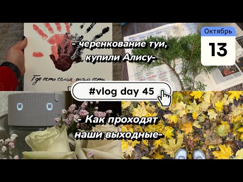 Видео: Как проходят наши выходные| купили Алису 🙈| черенкование туи| сделали отпечатки рук 🖼️| vlog day 45