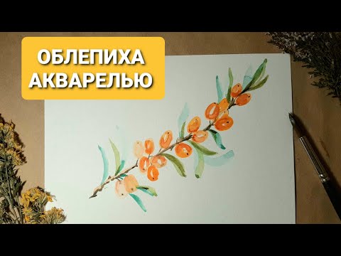 Видео: Веточка облепихи акварелью. Пошаговые уроки рисования для новичков